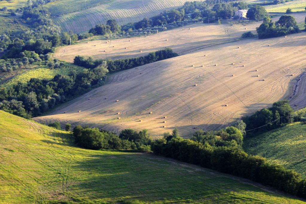 Agriturismo Fara Hotel Montegiorgio Eksteriør billede